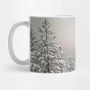 foggy fir forest Mug